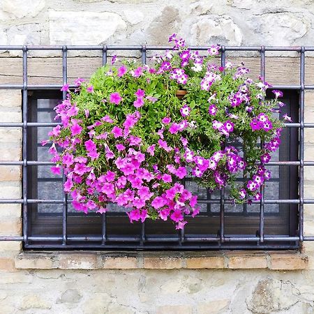 Casale Le Orme Bed & Breakfast Todi Eksteriør bilde