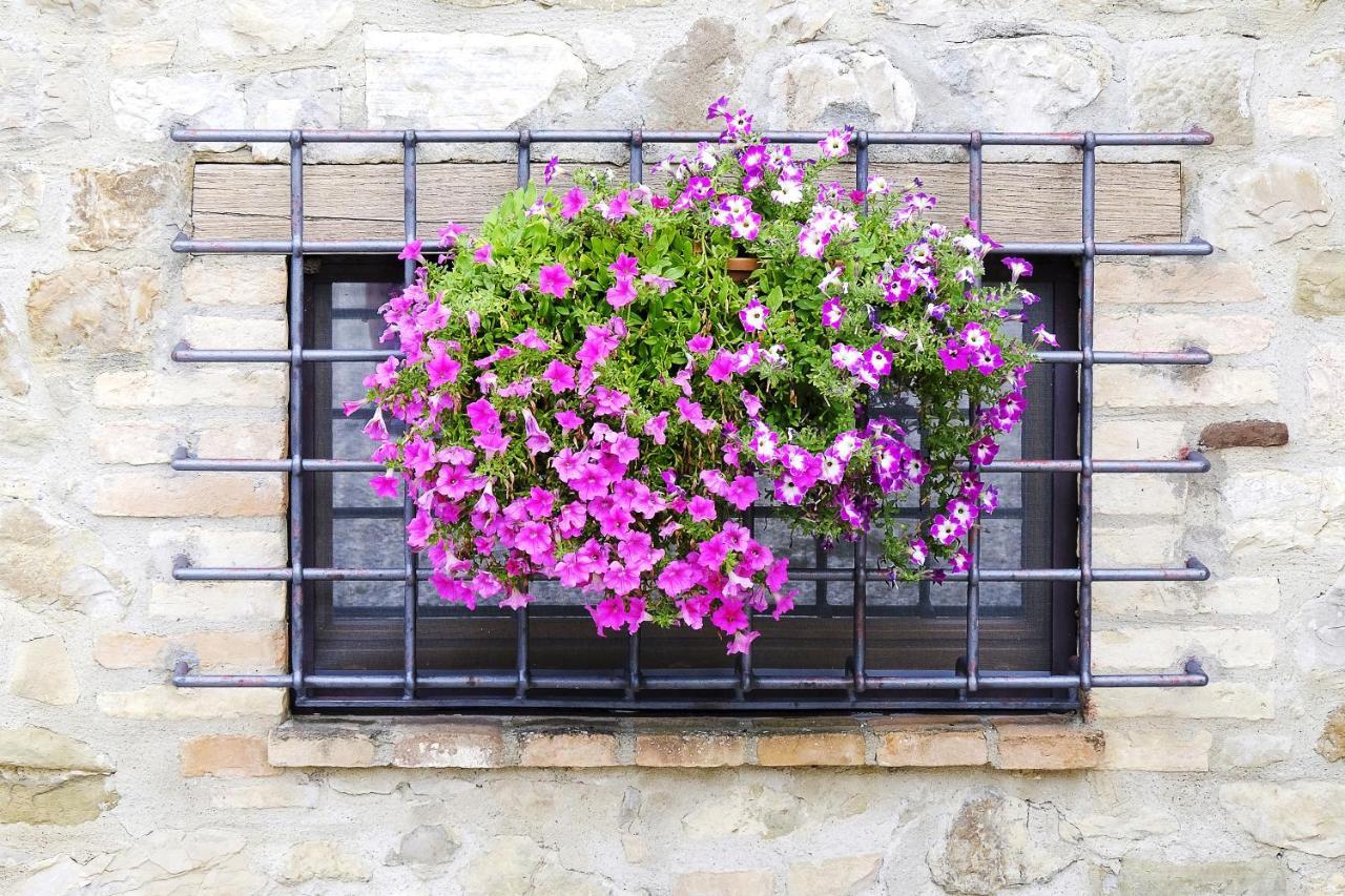 Casale Le Orme Bed & Breakfast Todi Eksteriør bilde
