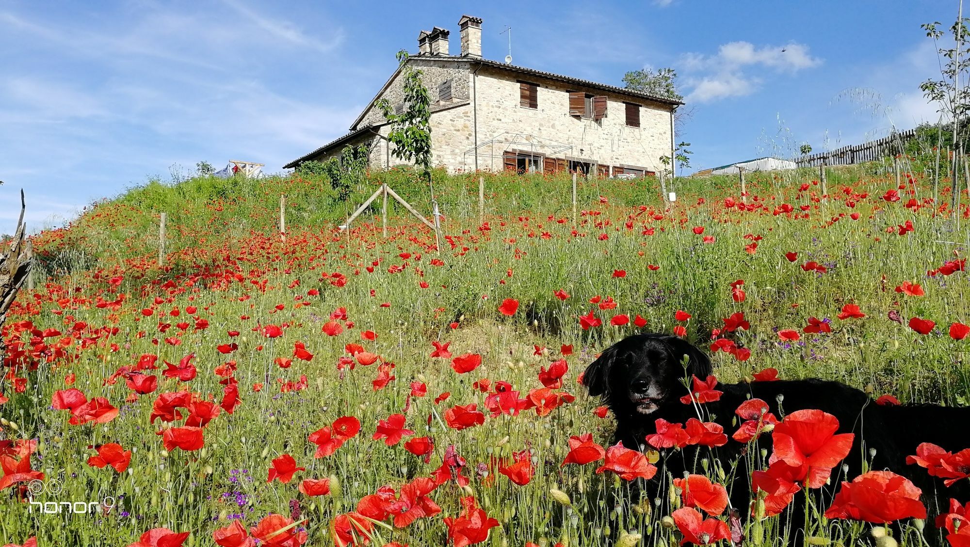 Casale Le Orme Bed & Breakfast Todi Eksteriør bilde